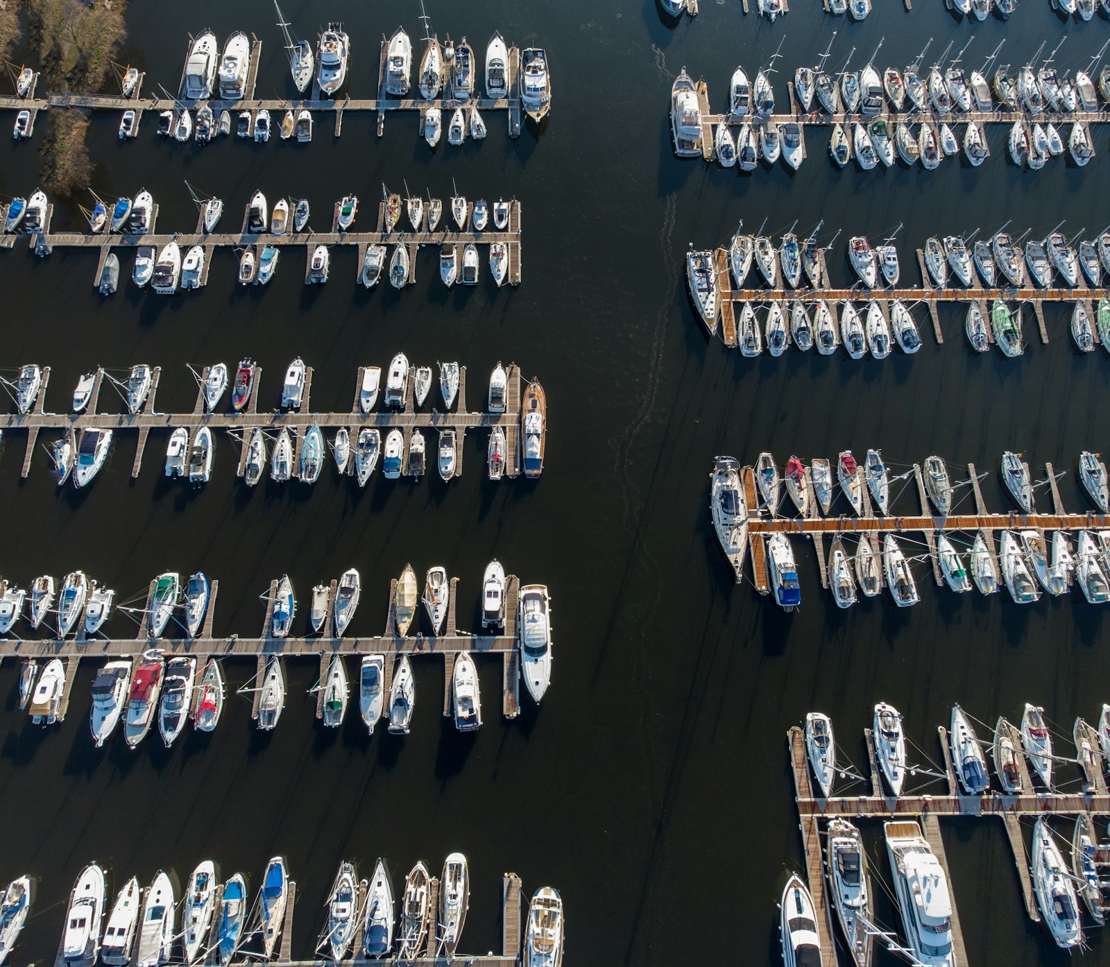 Boat Dealers